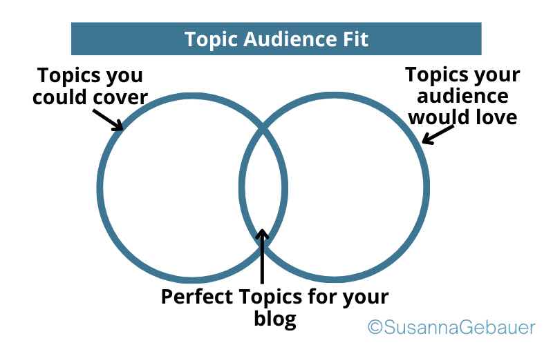 topic audience fit for blog topics